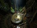 I Found Giant Anaconda Snakes in Deep Jungle 😱🐍 | Real Jungle Discovery#shorts #jungle #snake