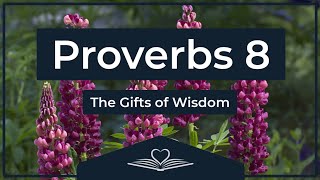Proverbs Chapter 8 - Audio Bible (NRSVue)