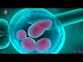 Adult Stem Cell Production : Binaural Beats for Anti Aging,Nerve,Cell,Tissue Regeneration