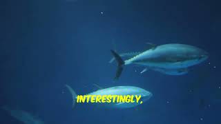 How Fish Breathe: The Secret of Gills