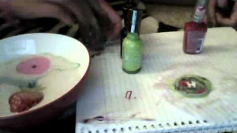 Fun Craft Ideas wuth Suzanne and Hannah