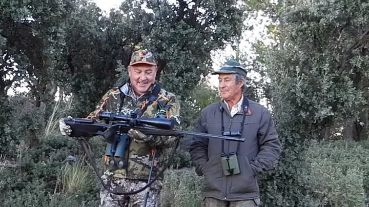 Caza de macho montes a 798 m. Spanish ibex long ra...