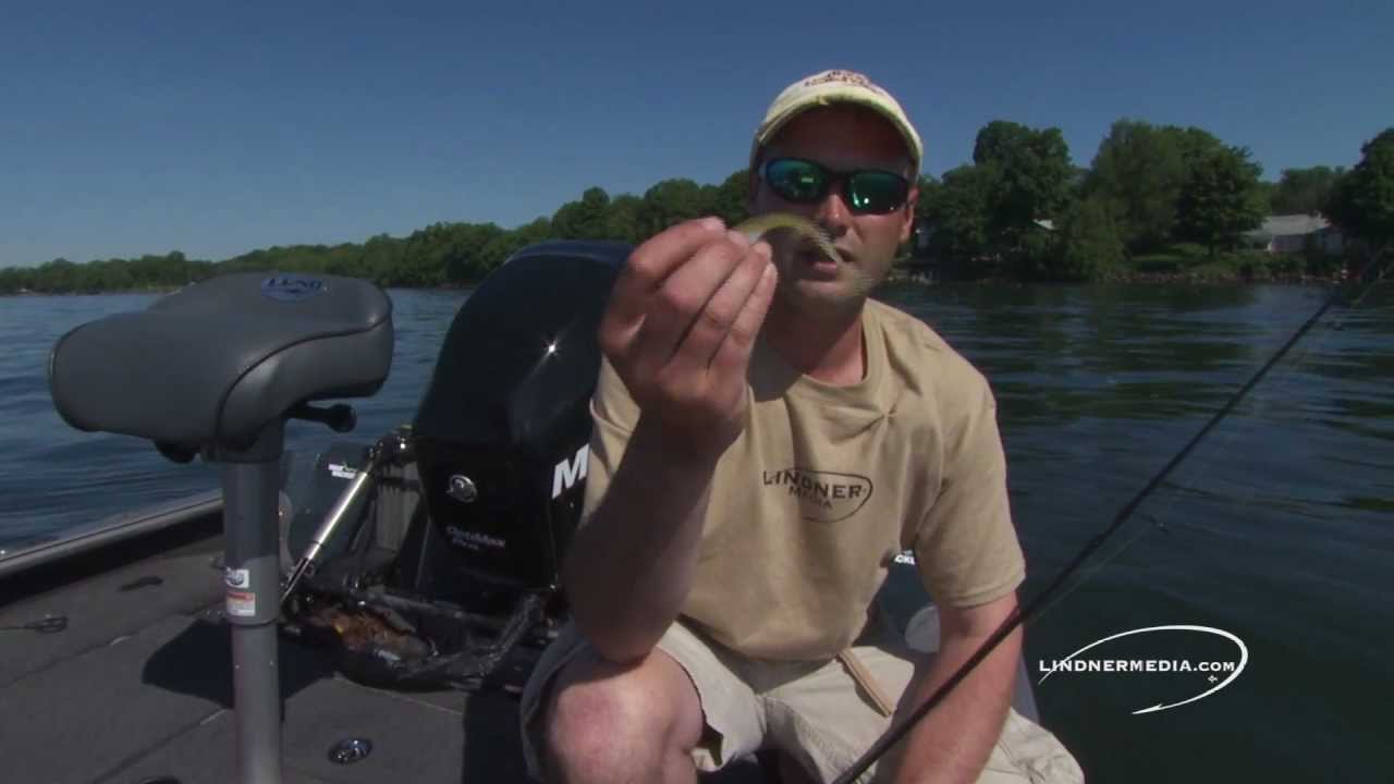 How to use soft bait minnows to lure smallmouth YouTube