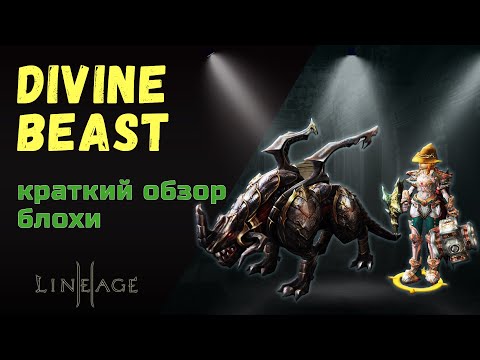 Как сделать 3 лвл Divine Beast. Краткий обзор трансформы.