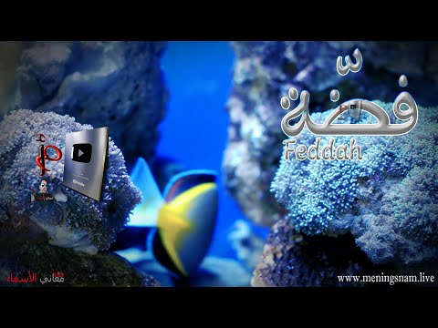 معنى اسم فضة وصفات حاملة هذا الاسم 