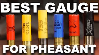 Best Shotshells for Pheasants  10 vs 12 vs 16 vs 20 vs 28 Gauge