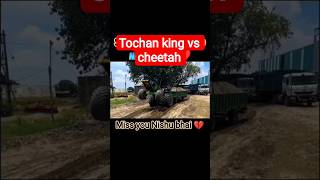tochan king 👑 vs cheetah 🐆 कौन पॉवरफुल है 👑 #nishudeshwal #tochanking #rohitdeshwal #nishudeswal
