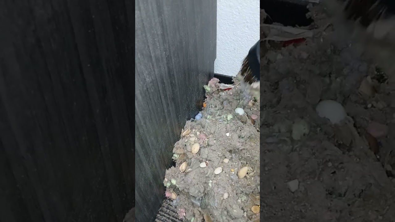 Crunch/Fluff tool work. 