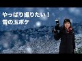 雪の玉ボケを撮ろう!私の設定やレンズはこれです⛄️月&雪も撮れました!