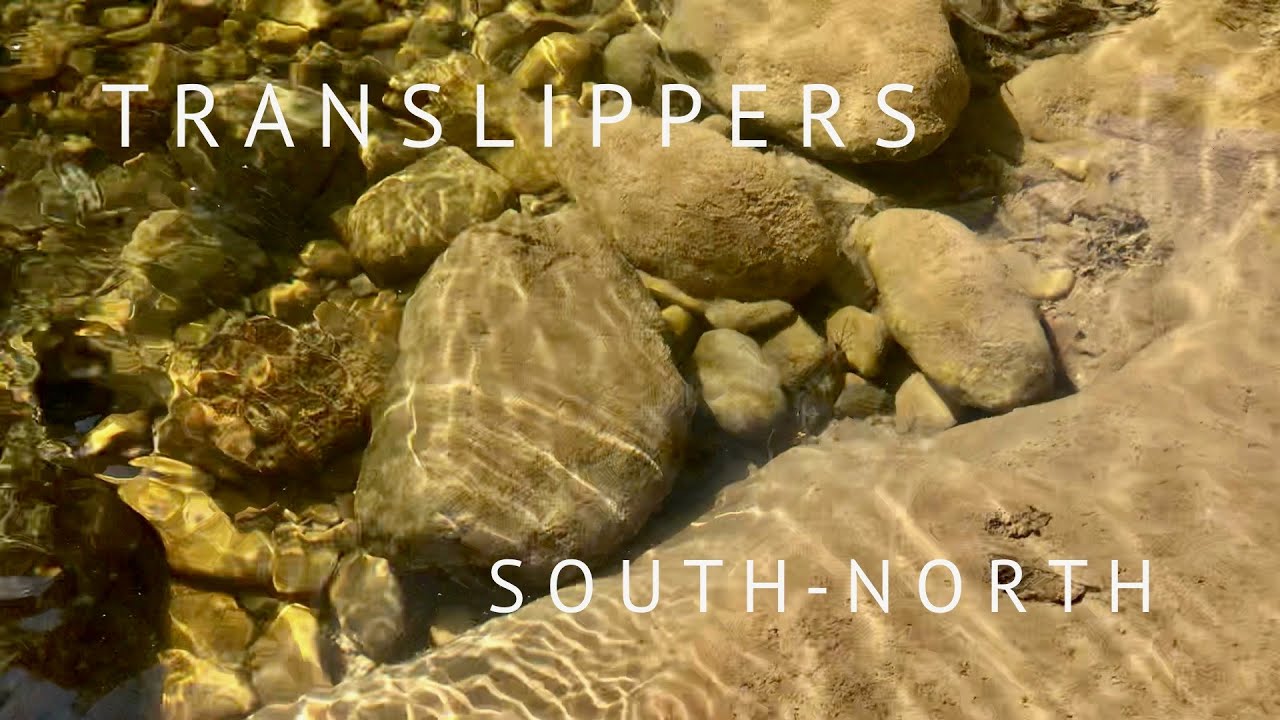 Translippers • South - North • 2020