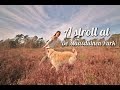 A (long) stroll at De Maasduinen park