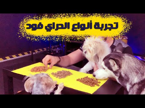 تجربة أنواع الدراي فود