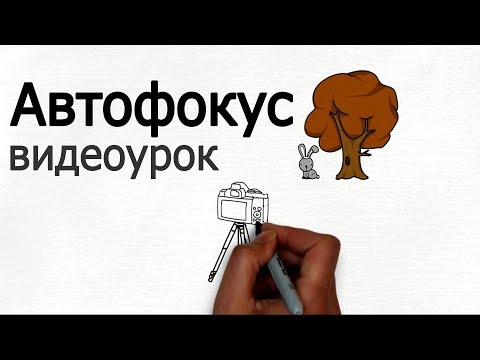 Видео: Что такое автофокус Пало-Альто?