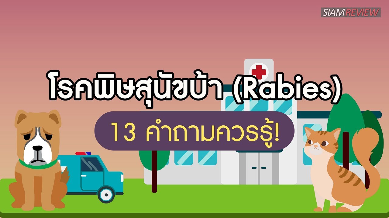 โรคพิษสุนัขบ้า (Rabies): 13 คำถามควรรู้!