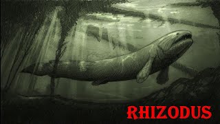 rhizodus
