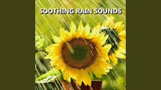 Delightful Meditation Rain Shower Sounds