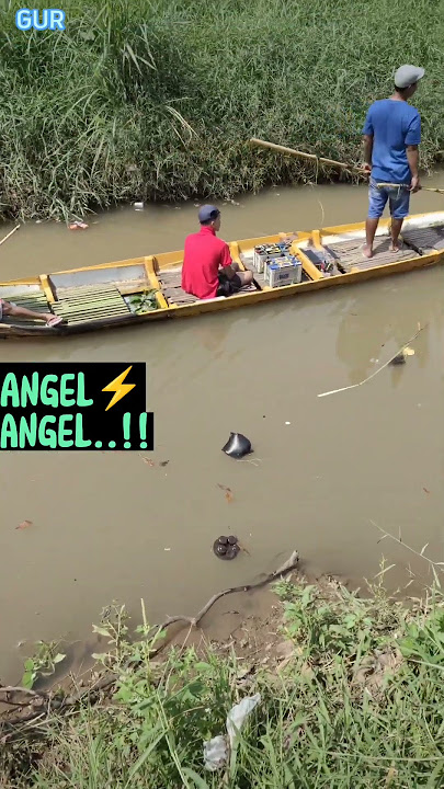 Kapan yg Gini ini musnah🥵? #setrum #ikan #fish #fishing #mancing #mancingmania #hobby