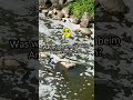 Das würden echte Angler niemals tun 🎣
