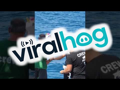 Ferry Boat Rescues a Young Girl on Inflatable Unicorn || ViralHog