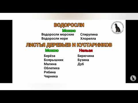 что можна добавлять в рацион питания хомяка 💗😊