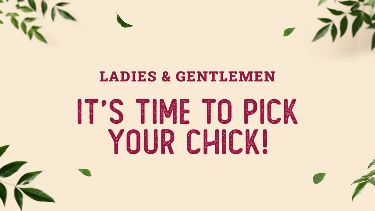 Happy, Healthy & Stress Free Country Chicken Makes For a Delicious Meal 😋 | Country Chicken Co.