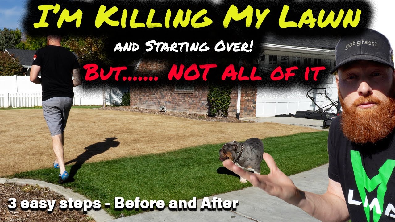 How Do I Kill My Lawn And Start Over