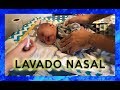 LAVADO NASAL bebe en 2 minutos 😱, CÓMO HACERLO