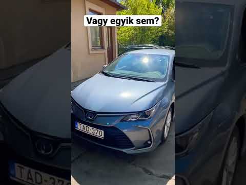 Videó: Melyik korszakban vagyunk?