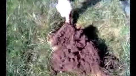 Discovermetaldetecting.co.uk - Deus & ETrac vid 1| #metaldetecting #metaldetectinguk