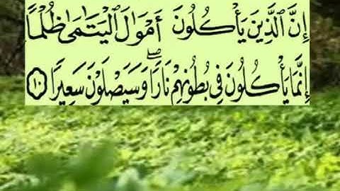 سورة النساء جمال القرش(1)