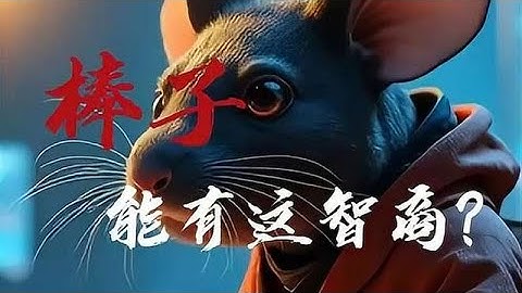 不怕猪一样的队友，就怕神一样的对手？
