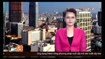 [CAFELAND.VN] Hôm nay, TP.HCM đào ngầm tuyến metro số 1