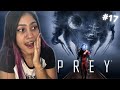 MIKHAILA PRECISA DE AJUDA! - PREY - #17