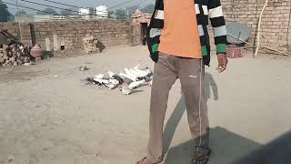 Download Lagu Ready to Love (Season11 Episode 3) Tommy's Skate Jam (Nov 23, 2025) Full Episode HD  MP3