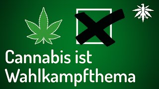 Cannabis ist Wahlkampfthema | DHV-News 281