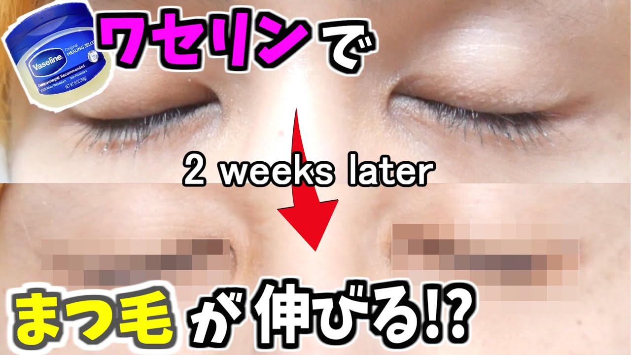 ワセリンを使って2週間でまつ毛を伸ばす方法をやった結果 Vaseline Youtube