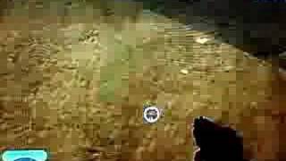 Zanzibar Superjump