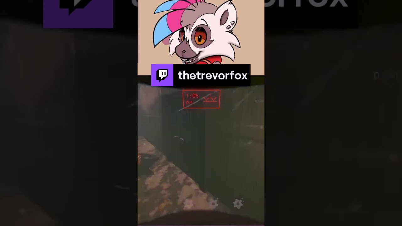 Who put the beehive at the front door?! | thetrevorfox on 