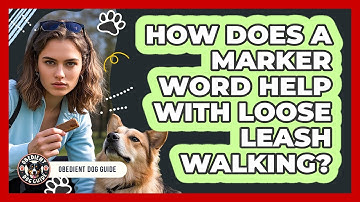 How Does A Marker Word Help With Loose Leash Walking? - Obedient Dog Guide