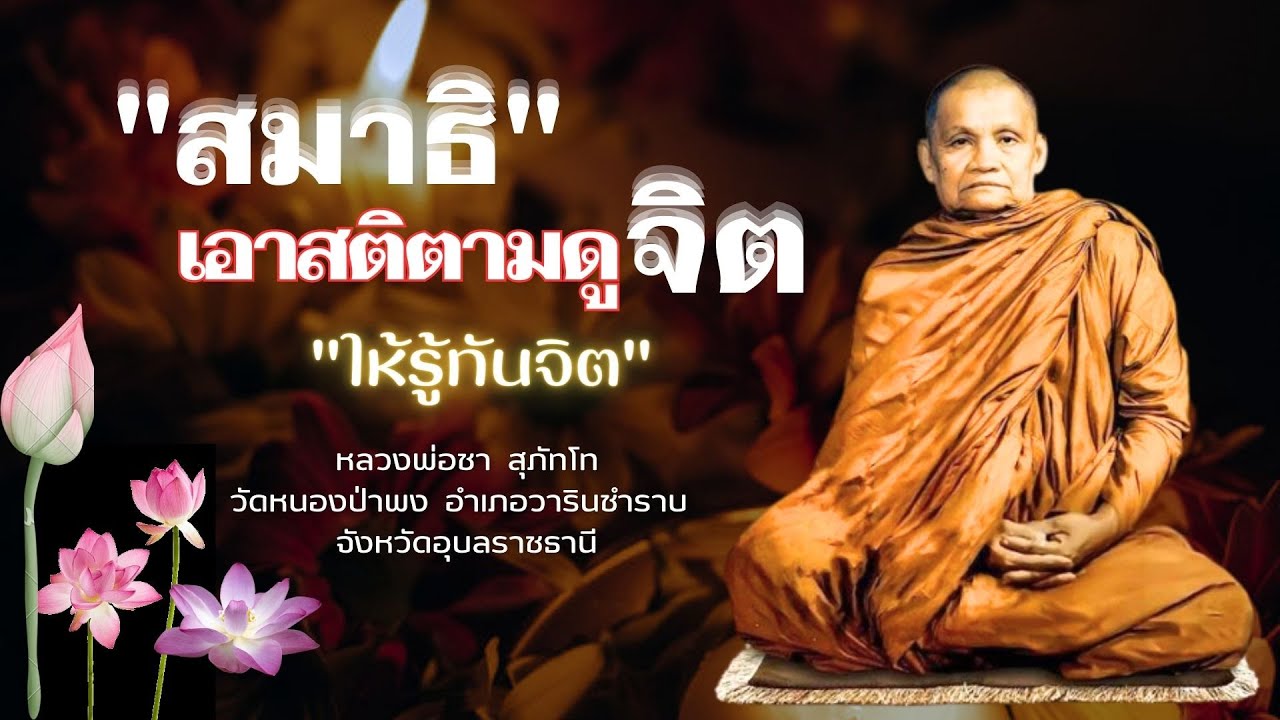สมาธิ เอาสติตามดูจิต ให้รู้ทันจิต : หลวงพ่อชา สุภัทโท #44