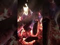 Костёр 🔥 сближает #satisfying #asmr #костер #деревня