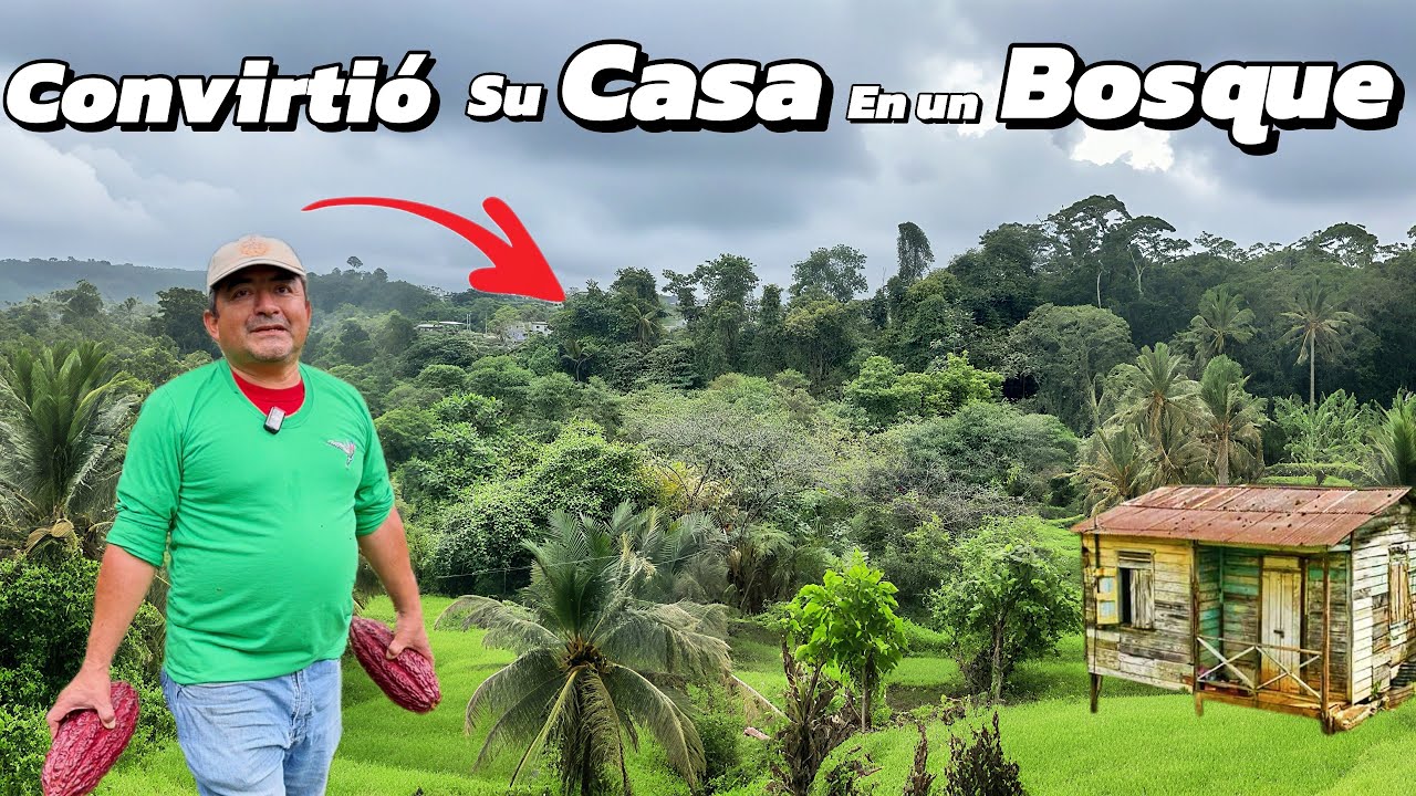 Su casa es un BOSQUE  el Convive con muchos Animales 