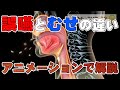 誤嚥とむせの違い～アニメーションで解説★嚥下トレーニングチャンネル ★毎週月曜日更新★