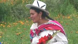 Video thumbnail of "MUSICA NACIONAL-VITALIA ZEBALLOS Y LA ORQUESTA LOS DEL VALLE "PAÑUELO BLANCO" (HUAYÑO)"