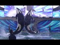 Orca Encounter (Front Row) March 11, 2020 - SeaWorld Orlando