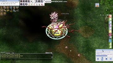 iRO MA GX Faceworm Nest