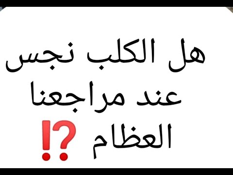 الكلب نجس عند مراجع الشيعة هل هذا رأي المذهب المرجع الشمولي السيد كمال الحيدري ثقافة الاختلاف