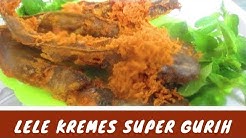 Resep dan Cara Membuat Ikan Lele Goreng Kremes Gurih, Garing, Enak dan Tidak Amis - Durasi: 7.35. Resep dan Cara Membuat Ikan Lele Goreng Kremes Gurih, Garing, Enak dan Tidak Amis - Durasi: 7.35.