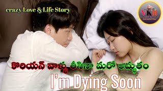 I'm Dying Soon 2014 Korean Movie Explained In Telugu | i'm dying soon 2014 |vkr world telugu