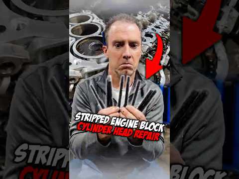 Gearheads Automotive Repair Nicholasville Ky